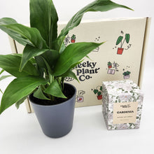 Load image into Gallery viewer, Peace Lily &amp; Candle Gift Box
