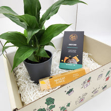Load image into Gallery viewer, Peace Lily Condolence Gift Box
