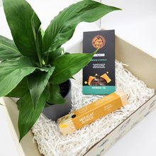 Load image into Gallery viewer, Peace Lily Condolence Gift Box
