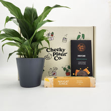 Load image into Gallery viewer, Peace Lily Condolence Gift Box
