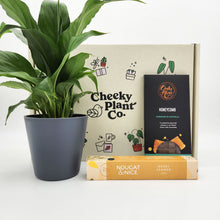 Load image into Gallery viewer, Peace Lily Condolence Gift Box
