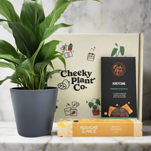 Load image into Gallery viewer, Peace Lily Condolence Gift Box
