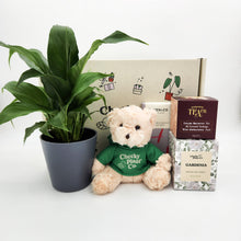 Load image into Gallery viewer, Peace Lily Thinking of You Gift Box
