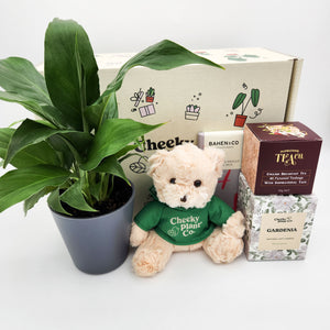 Peace Lily Thinking of You Gift Box