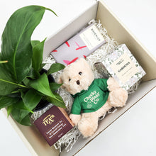 Load image into Gallery viewer, Peace Lily Thinking of You Gift Box

