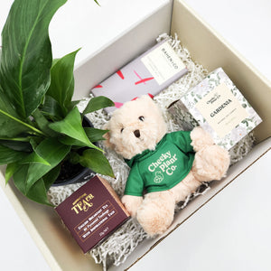 Peace Lily Thinking of You Gift Box