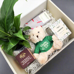 Peace Lily Thinking of You Gift Box