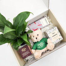 Load image into Gallery viewer, Peace Lily Thinking of You Gift Box
