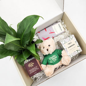 Peace Lily Thinking of You Gift Box