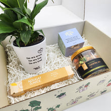 Load image into Gallery viewer, Peace Lily Sympathy Gift Box
