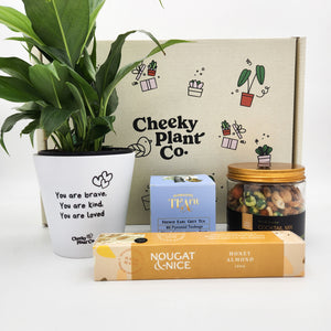 Peace Lily Sympathy Gift Box