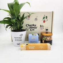 Load image into Gallery viewer, Peace Lily Sympathy Gift Box

