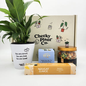 Peace Lily Sympathy Gift Box