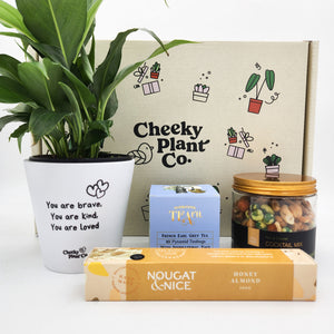 Peace Lily Sympathy Gift Box