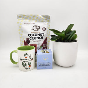 New Home - Plant Gift Hamper - Sydney Only