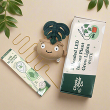 Load image into Gallery viewer, Grow Your Plants Care Pack
