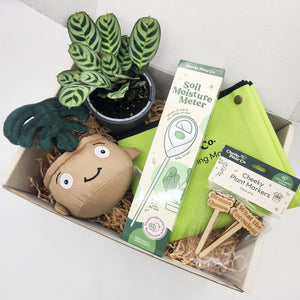 Cheeky Plant Care Starter Gift Box