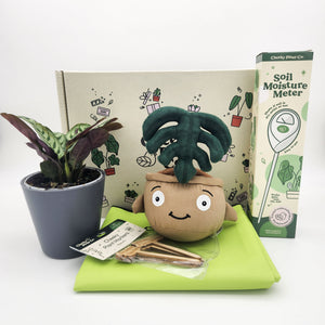 Cheeky Plant Care Starter Gift Box