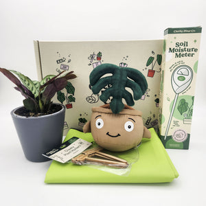Cheeky Plant Care Starter Gift Box
