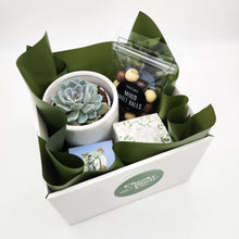Load image into Gallery viewer, Wedding / Engagement - Succulent Gift Hamper - Sydney Only
