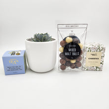 Load image into Gallery viewer, Wedding / Engagement - Succulent Gift Hamper - Sydney Only

