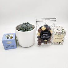 Load image into Gallery viewer, Wedding / Engagement - Succulent Gift Hamper - Sydney Only
