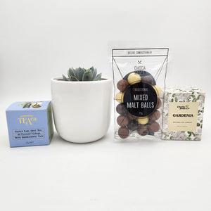 Wedding / Engagement - Succulent Gift Hamper - Sydney Only