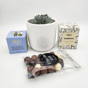 Wedding / Engagement - Succulent Gift Hamper - Sydney Only