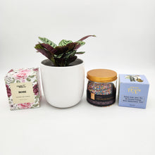 Load image into Gallery viewer, Wedding / Engagement - Plant Gift Hamper - Sydney Only
