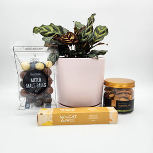 Happiest Birthday Plant Gift Hamper - Sydney Only