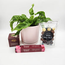 Load image into Gallery viewer, Sincere Sympathy Plant Gift Hamper - Sydney Only
