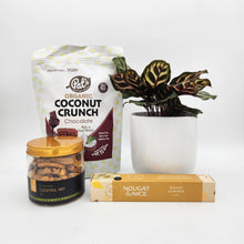 Load image into Gallery viewer, Pawfect Dog Friendly Plant Gift Hamper - Sydney Only
