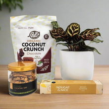 Load image into Gallery viewer, Pawfect Dog Friendly Plant Gift Hamper - Sydney Only

