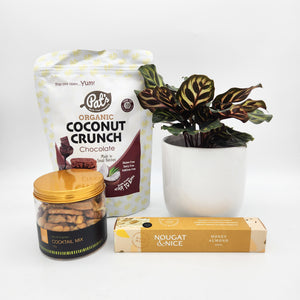 Pawfect Dog Friendly Plant Gift Hamper - Sydney Only