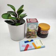 Load image into Gallery viewer, Christmas Plant Gift Hamper - Sydney Only
