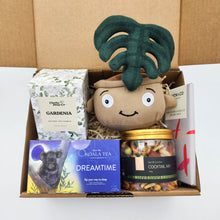 Load image into Gallery viewer, Comfort &amp; Care Plant Plushie Gift Box
