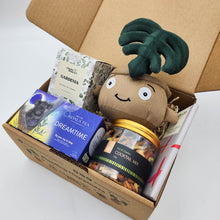 Load image into Gallery viewer, Comfort &amp; Care Plant Plushie Gift Box
