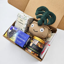 Load image into Gallery viewer, Comfort &amp; Care Plant Plushie Gift Box
