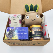 Load image into Gallery viewer, Comfort &amp; Care Plant Plushie Gift Box

