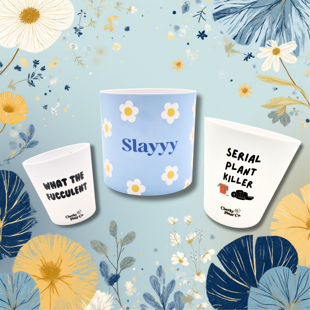 What a Serial Plant Slayer - Pot Bundle