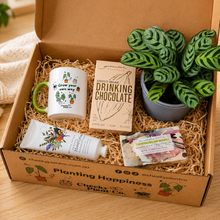 Load image into Gallery viewer, Pamper Wellness Plant Gift Box
