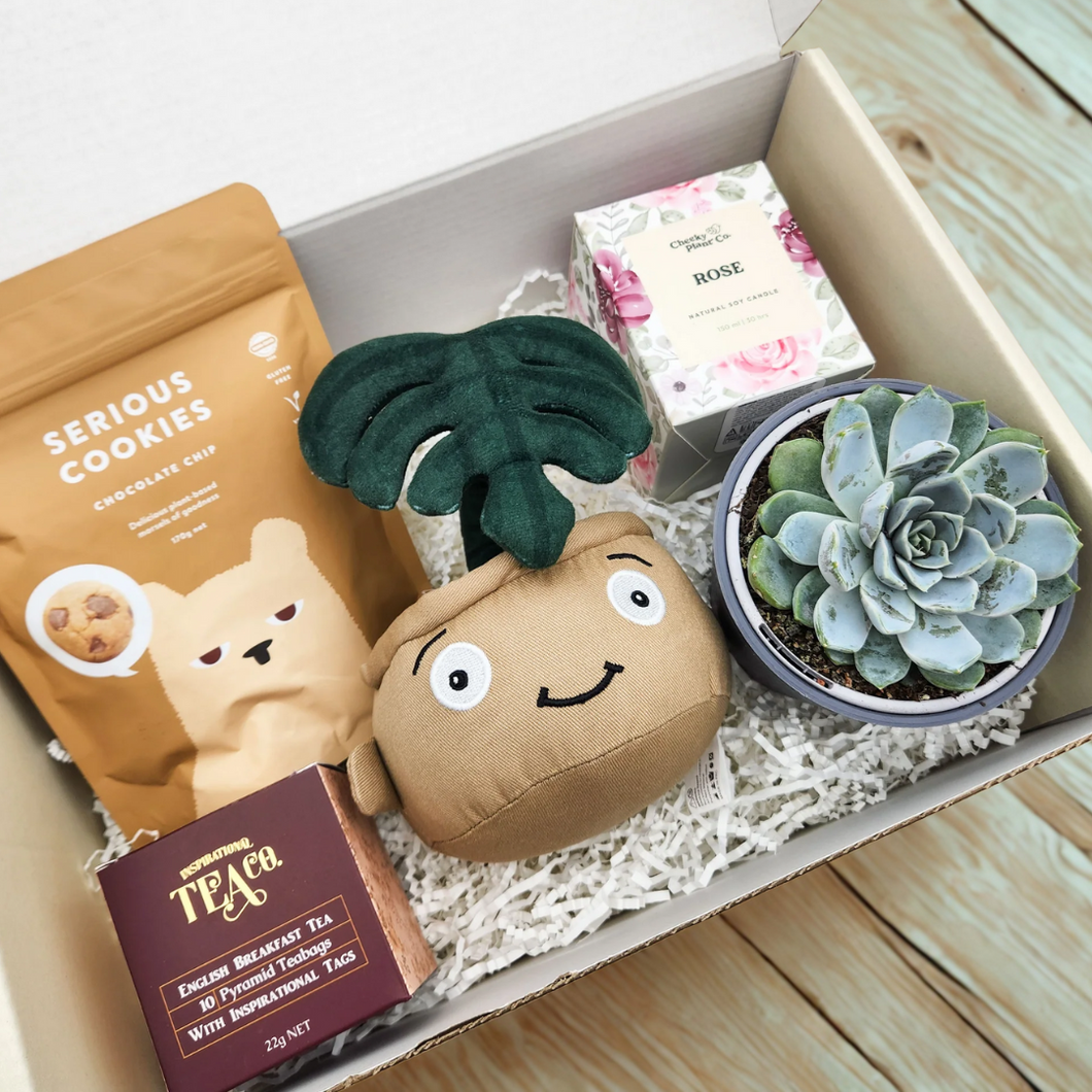 Thank You - Succulent Hamper / Succulent Gift Box
