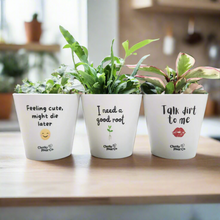 Load image into Gallery viewer, Trio Cheeky Pots Pack - Cheeky Plant Co. Pots - 13.5cmD x 11.5cmH
