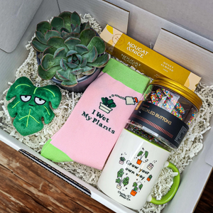 Planty of Love - Succulent Gift Box