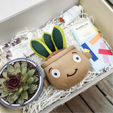 Load image into Gallery viewer, Happy Birthday - Succulent Hamper / Succulent Gift Box
