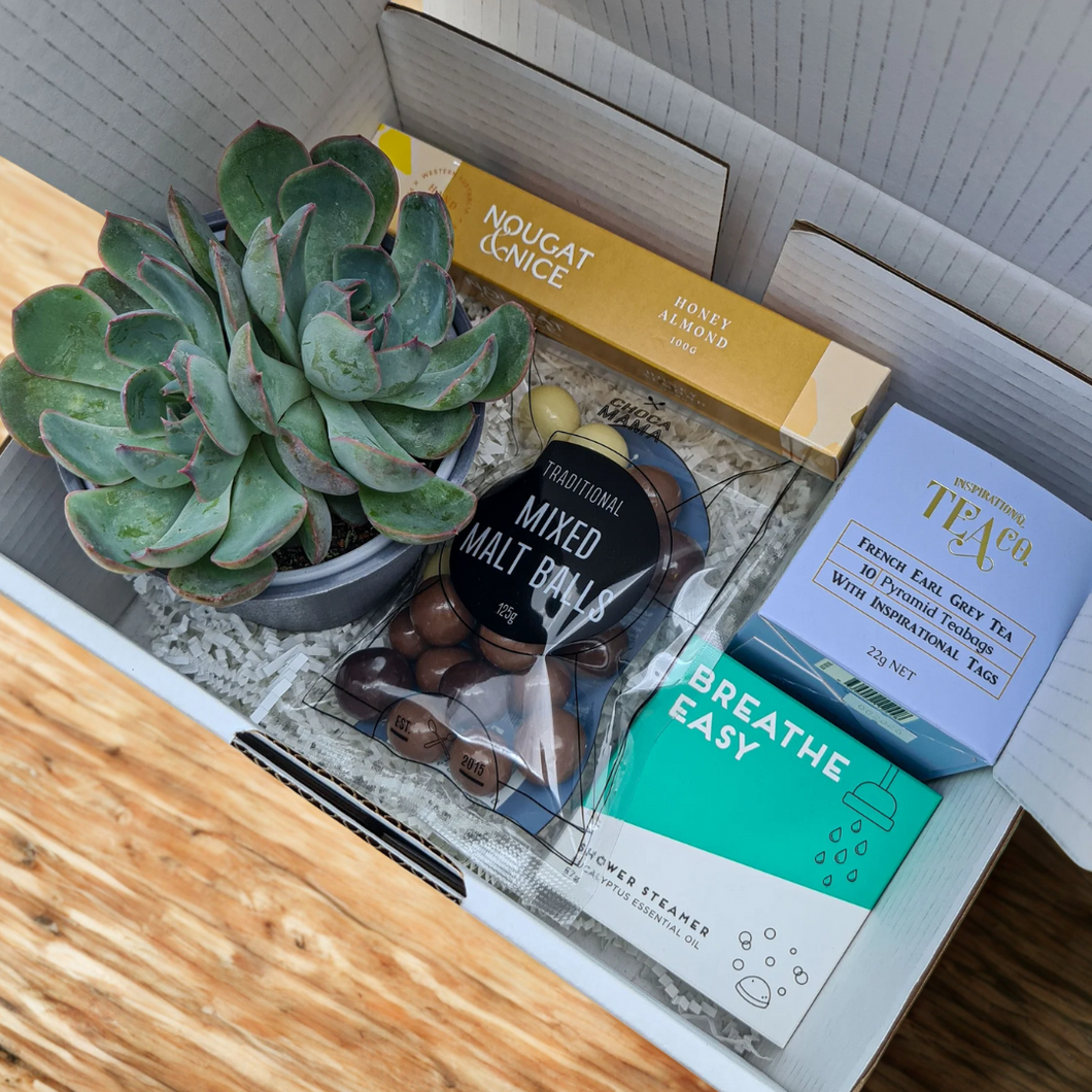 Get Well Soon - Succulent Gift Box