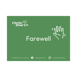 Greeting Cards - Green