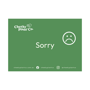 Greeting Cards - Green