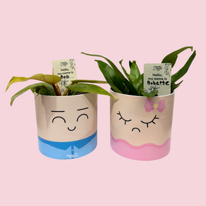 Plant Name Labels - "Hello my name is ___ "