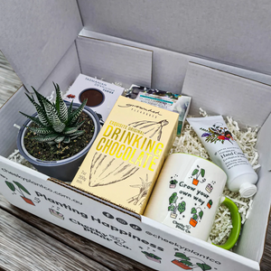 Pamper - Succulent Gift Box